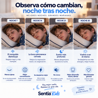 Funda removible