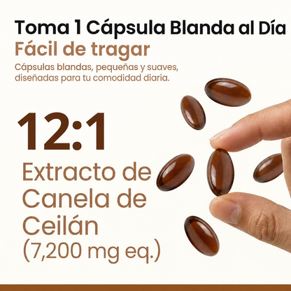 Canela de Ceilán Equivalente a 7200 mg con Aceite MCT